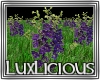 [LD] DJ Purple Flowers