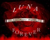 Luna family banner
