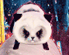 Panda Tanuki (狸)