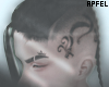 Apf | Draken