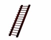 Library Ladder