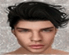 PR3NSs Head