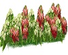 Hydrangeas&Mixed Flowers