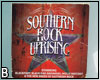 Southern Rock Poster 1
