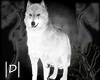 |D|Garou White Wolf [R]