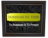 Dominate/Protect