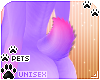 [Pets] Phir | tail v5