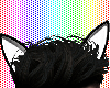 drv. ears 01