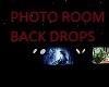 photo room with back dro