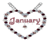 January Birthstone Charm