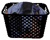 [TB] Black Landry Basket