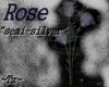 ~Tz~ Roses "SemiSilver"