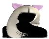 Miau - hair