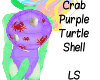 Crab Purple Trutle Shell