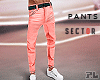 [PL] Pants x SeCtor III