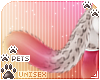 [Pets] Reni | tail v4