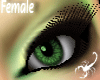 38RB Green Eyes - F