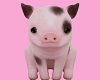 𝐼𝑠.PigBabyCute!