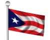 Anim Puerto Rican Flag