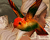 Hummingbird Kiss