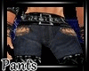 [JD] Pants Master Sinner