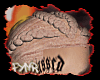 dread locs
