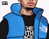 ð¥. North Blue Puffer