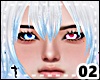*Y* Sai New T2