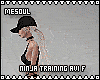 Ninja Training Avi F