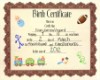 Birth Certificate2