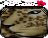 [PLL] Leopard Room