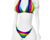 ! AZ Paige Pride Bikini