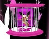 LPF cage playboy
