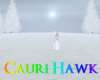 JL Winter Clearing 4