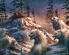 WHITE WOLF PICTURE