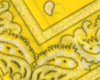 Yellow Bandanna