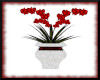 e-Red Chill Plant