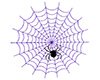 Purple Spider Web