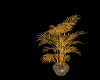 Yellow Plant/Vase