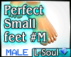 LS*Perfect Small Feet