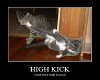 High Kickin Cat