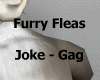 Furry Fleas M/F +Sounds