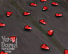 Valentines Rose Petals