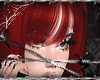 knife avi