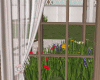 DER: Curtain L