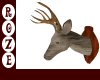 *R*Mounted Deer Head