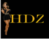 HDZ Auction Poster