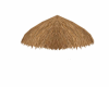 VP  PALAPA ROOF