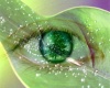 Gaia's Eye