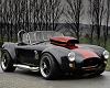 Weineck Cobra Sticker